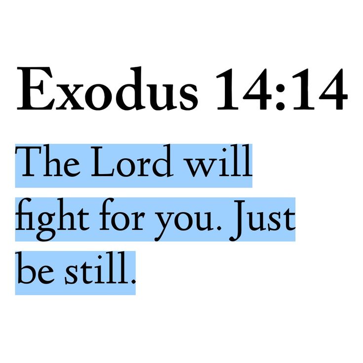 Exodus 14:14