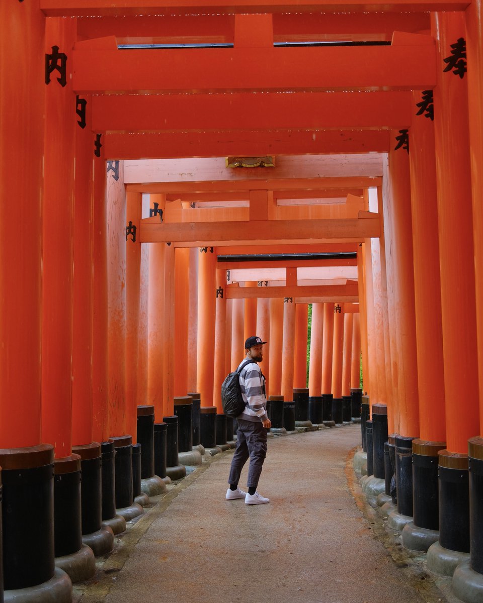 Igor Garybaldi ✨ tweet media