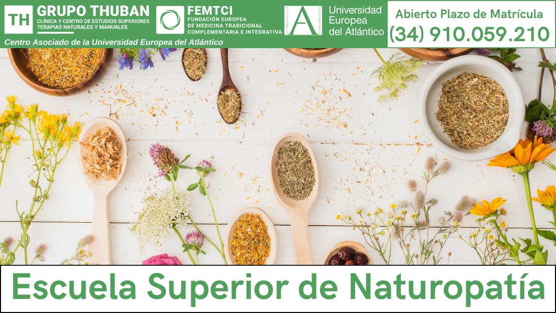 roaslinkads's tweet image. 🌼✨ ¡Descubre el poder desintoxicante del diente de león! Beneficios y preparación que transformarán tu salud. 🌱💪 #Naturopatía #Bienestar #SaludNatural 👉 pxl.to/1kyutbz