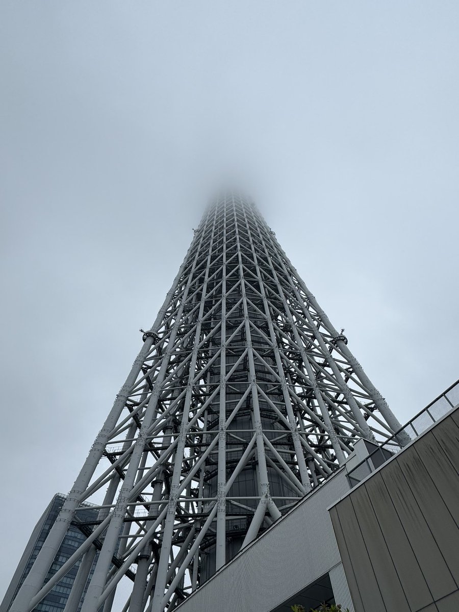 登っても何も見えないだろう