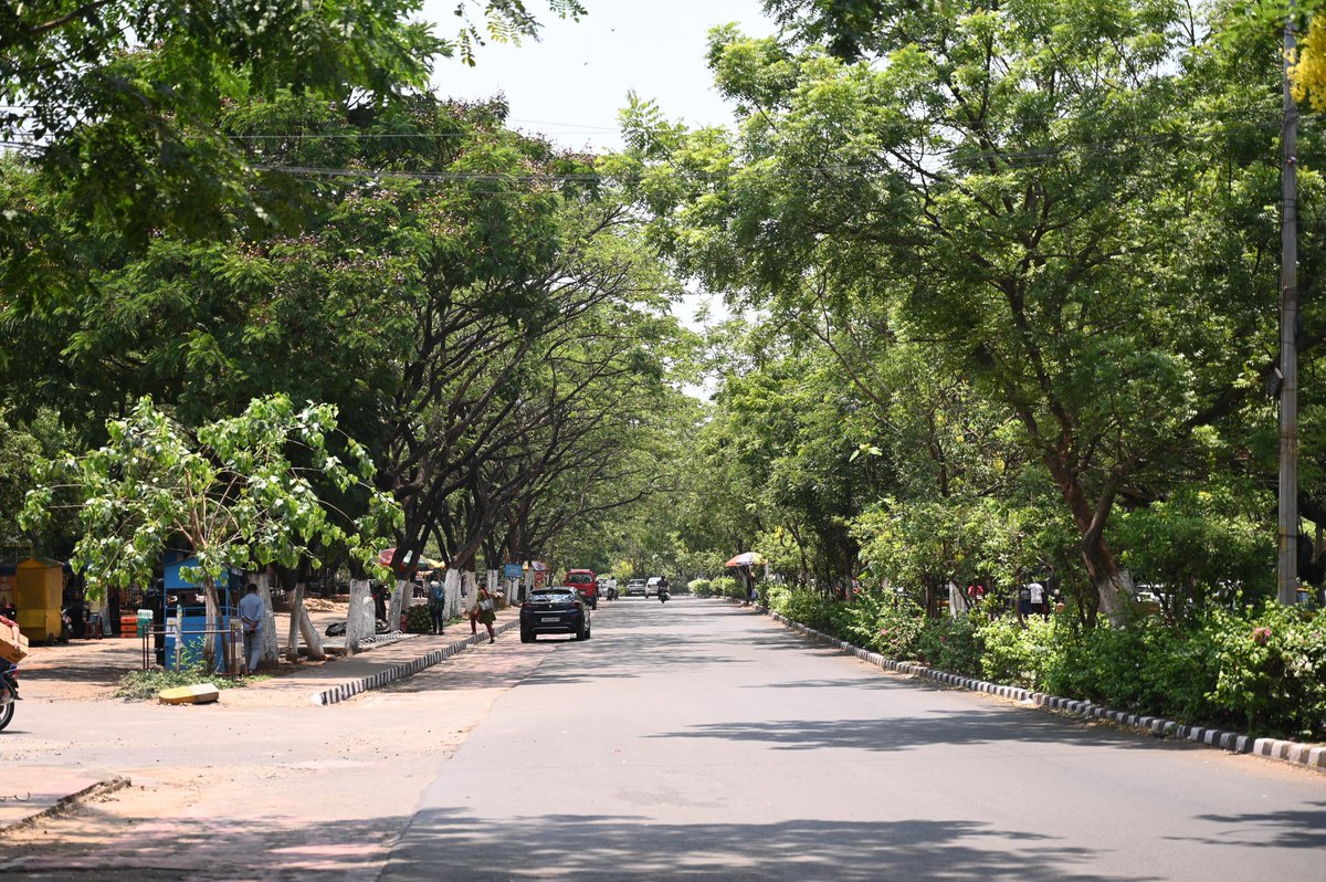 bmcbbsr's tweet photo. The shade provided by trees during this scorching heat offers citizens a place to rest, guides the layout of streets, and serves many other purposes. 
#SustainableFuture
#CleanGreenCity. https://t.co/BbWTnf4qAM