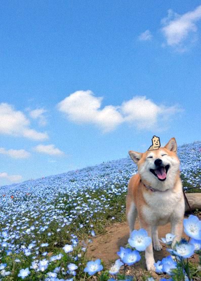 Larva Lads (@larvalads) on Twitter photo 