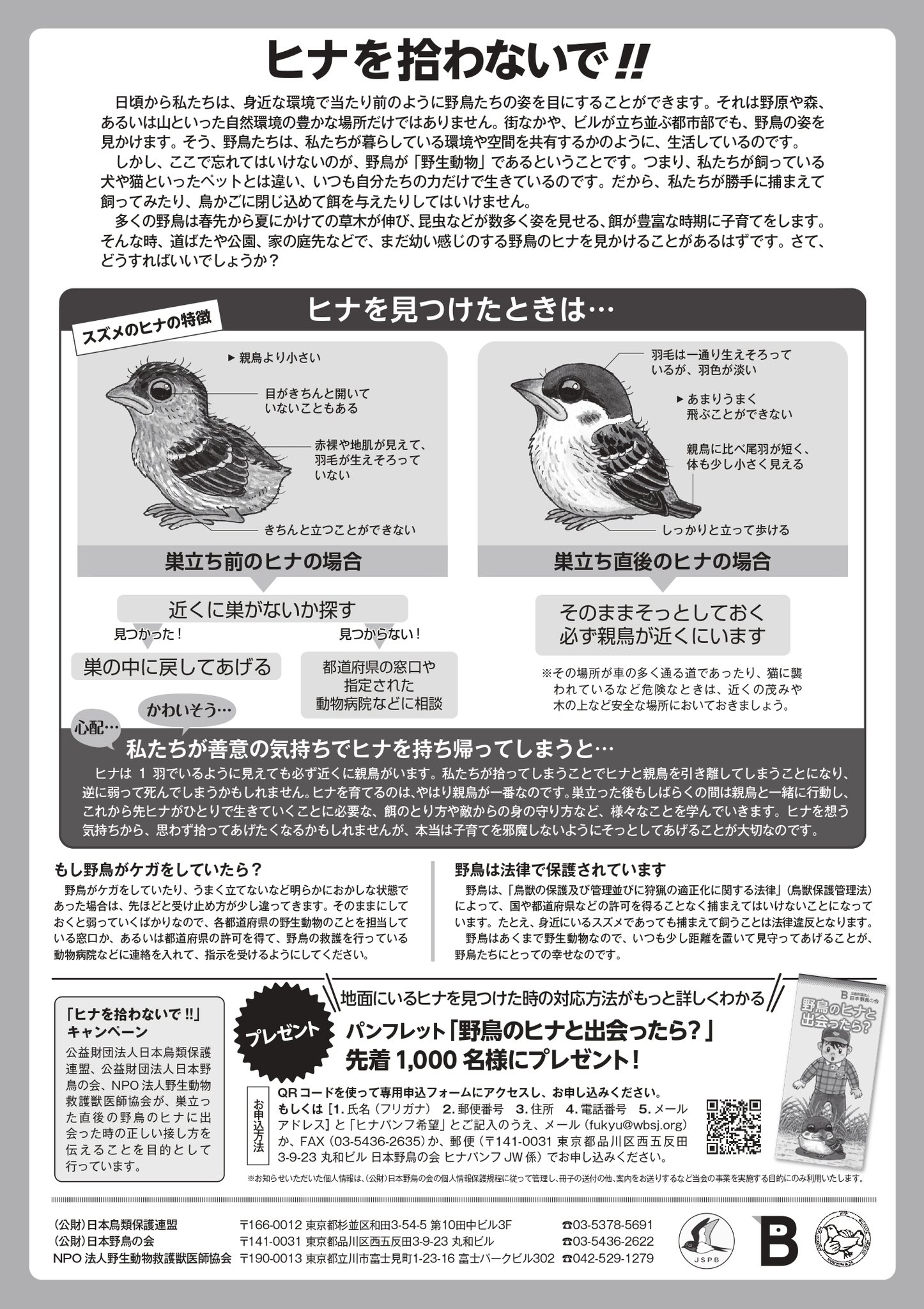 野鳥と私たち　愛鳥キャンペーン　新聞広告縮印刷版　第１〜3集 愛鳥広告アーカイブ｜愛鳥活動とは｜サントリーの愛鳥活動