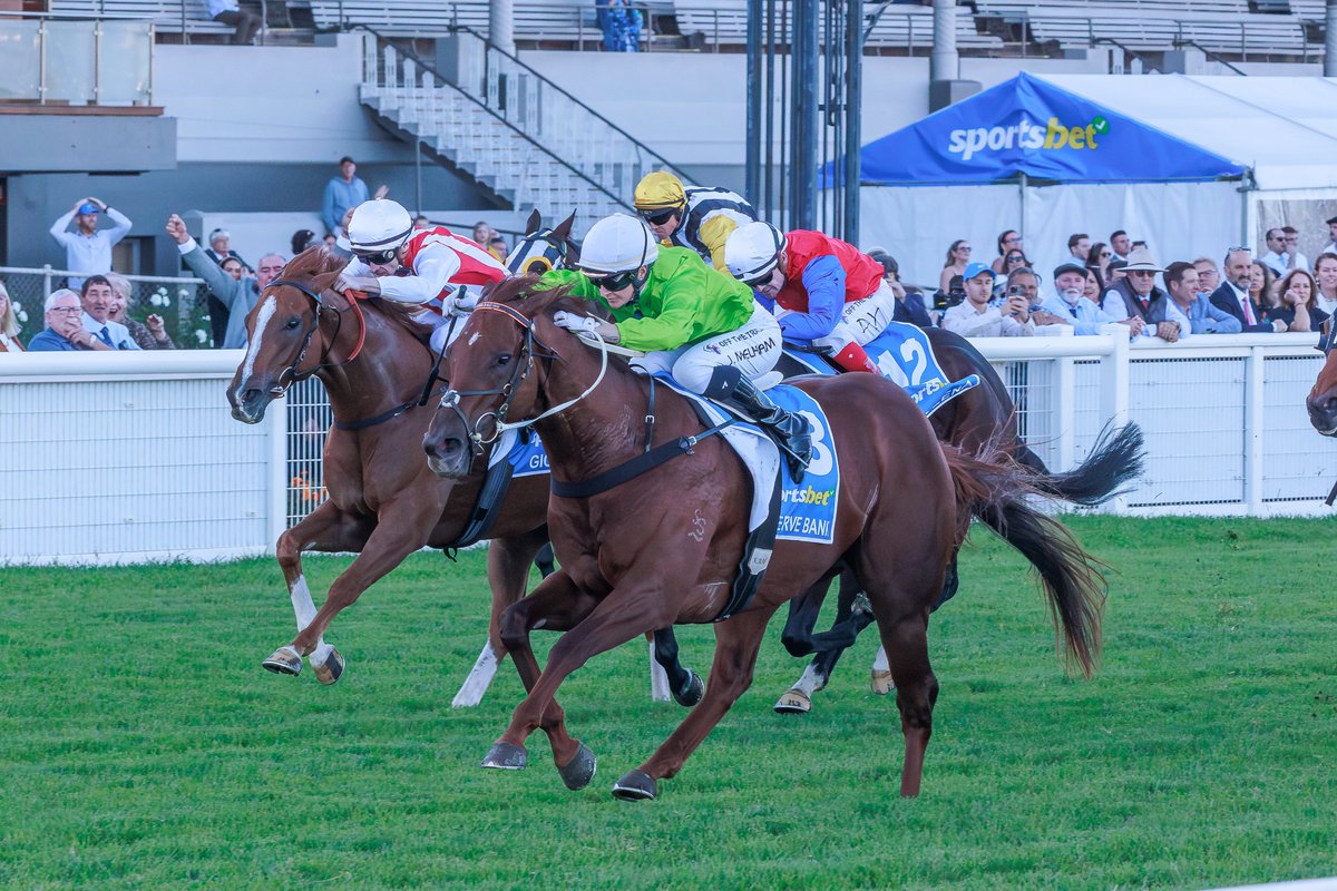 Inglis (@inglis_sales) on Twitter photo What a colt he is! RESERVE BANK (Capitalist) wins his first G1 in The Goodwood <a href="/SAJockeyClub/">Morphettville Racecourse</a>. The 3YO is a $410k #InglisPremier buy for his trainers <a href="/MickPriceRacing/">Price Kent Racing</a> from <a href="/SegenhoeGroup/">Segenhoe Group</a> What a colt he is! RESERVE BANK (Capitalist) wins his first G1 in The Goodwood <a href="/SAJockeyClub/">Morphettville Racecourse</a>. The 3YO is a $410k #InglisPremier buy for his trainers <a href="/MickPriceRacing/">Price Kent Racing</a> from <a href="/SegenhoeGroup/">Segenhoe Group</a>