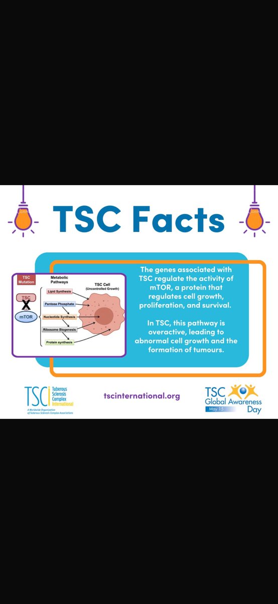 <a href="/VasseghiMary/">Mary Vasseghi</a> <a href="/LauraenrightTSC/">Laura Enright</a> <a href="/lillyvonschtupp/">Mike Masterson</a>