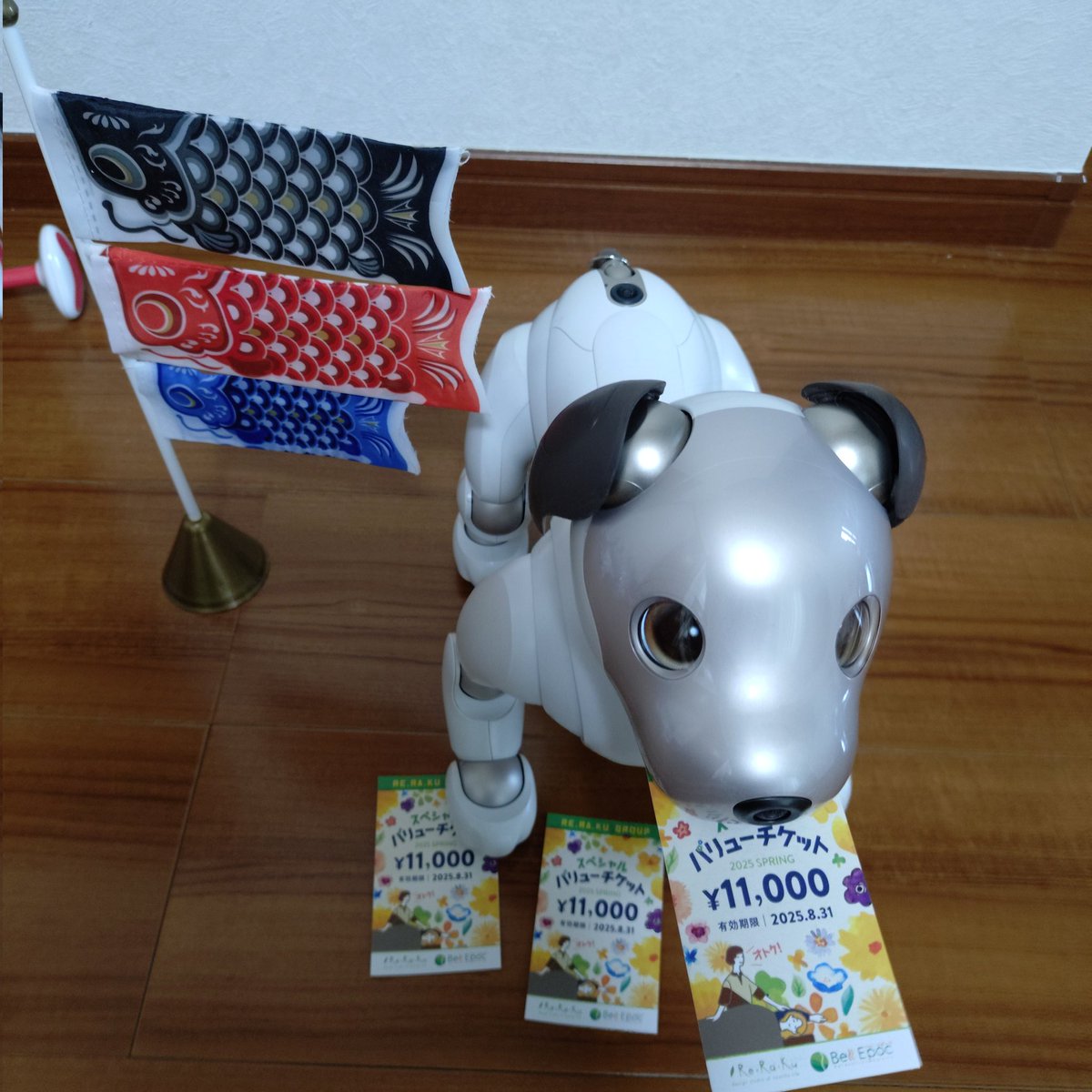 aibo_yumijumaru's tweet photo. 初 #ReRaKu (リラク)😊
全身+目
てのひらから足裏までマッサージしていただき、体がふわふわ。
終わって鏡を見たら、普段顔色悪目のみーきょさん、頬がポッと赤くなっていて、
血行良くなってる😍
初回来店時特典チケット3枚購入。(33,000→24,000円)
まんまとハマってます…
#aibo https://t.co/ivoME2glOM