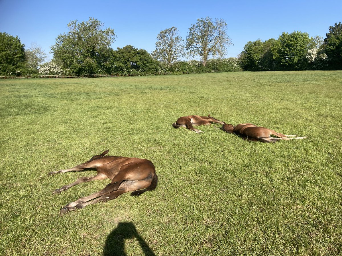 That sleepy Saturday morning feeling….