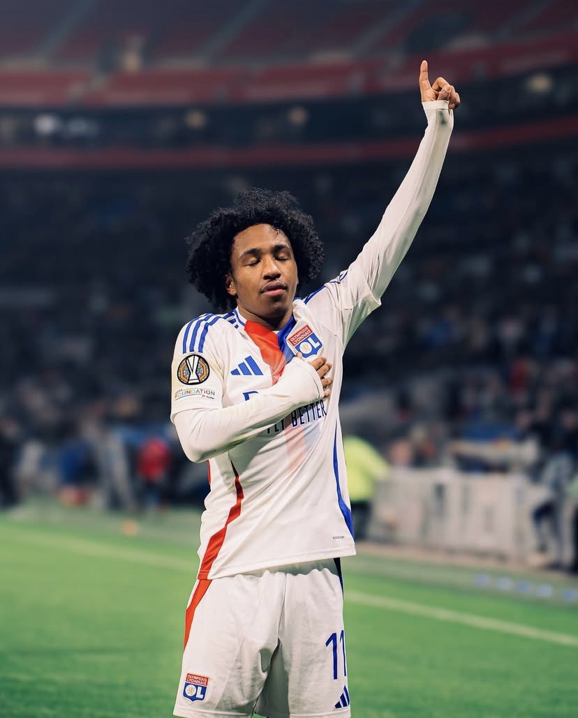 FansGones 🦁 tweet media