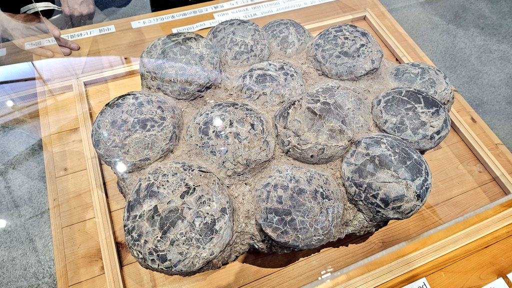 けんたろう🇺🇦 on X