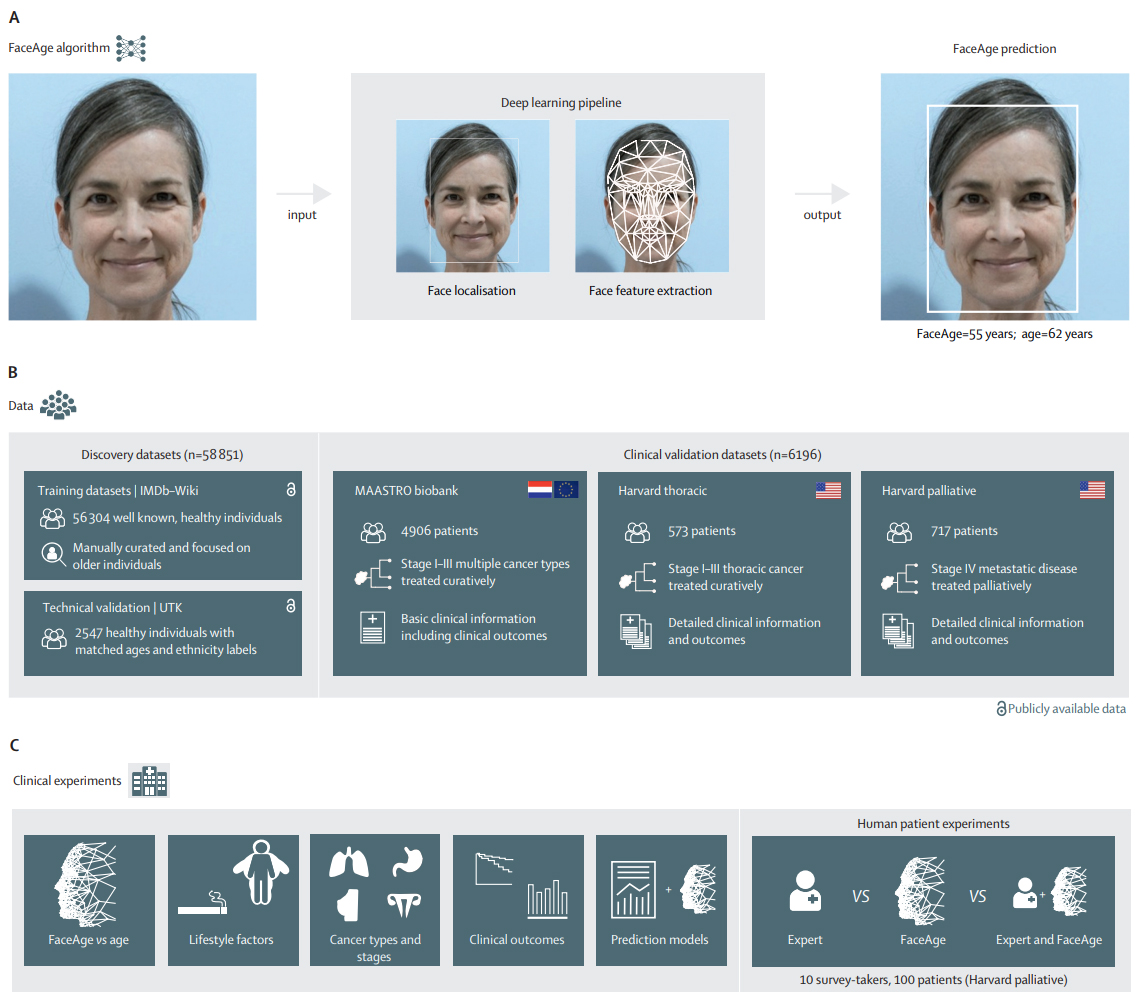 The Lancet (@thelancet) on Twitter photo AI tool can estimate biological age and improve predictions of survival outcomes for patients with cancer, suggests study in <a href="/LancetDigitalH/">The Lancet Digital Health</a>.
🔗 hubs.li/Q03lNq5L0 AI tool can estimate biological age and improve predictions of survival outcomes for patients with cancer, suggests study in <a href="/LancetDigitalH/">The Lancet Digital Health</a>.
🔗 hubs.li/Q03lNq5L0
