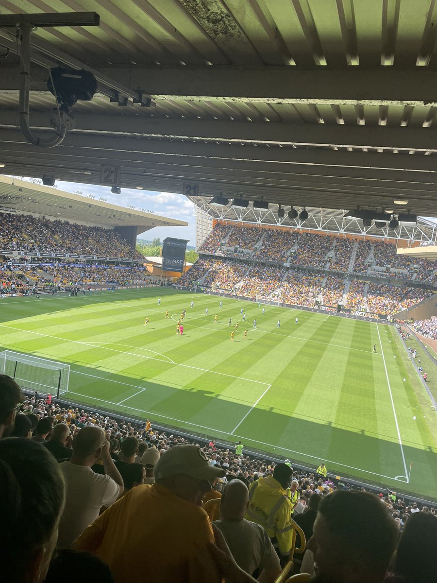 Molineux when the suns out and everyone’s wearing old gold &gt;&gt;&gt;&gt;