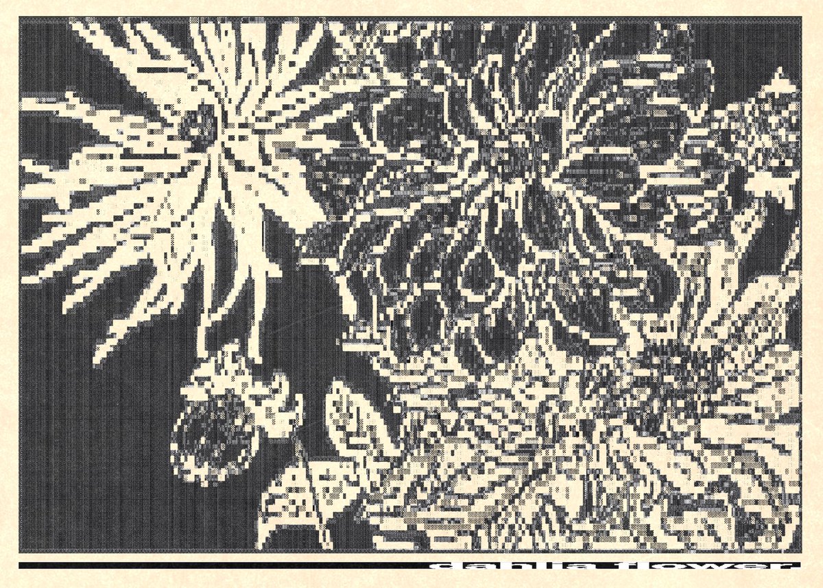 enigmatriz (@enigmatriz) on Twitter photo 