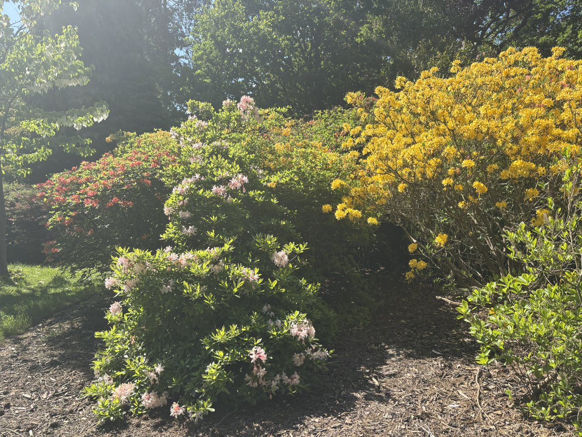 dan 🫶🏼 coup de grâce era (@dantheestan) on Twitter photo 