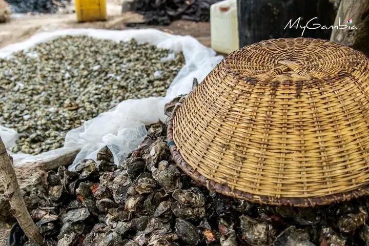 Yahya (@yahya561874) on Twitter photo 