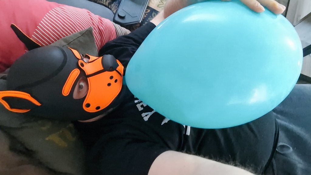 Fwoomp Bear 🎈🐻🧡 tweet media