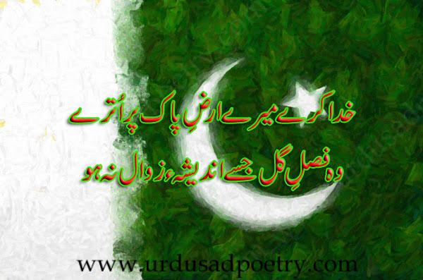 Fizzah tweet media