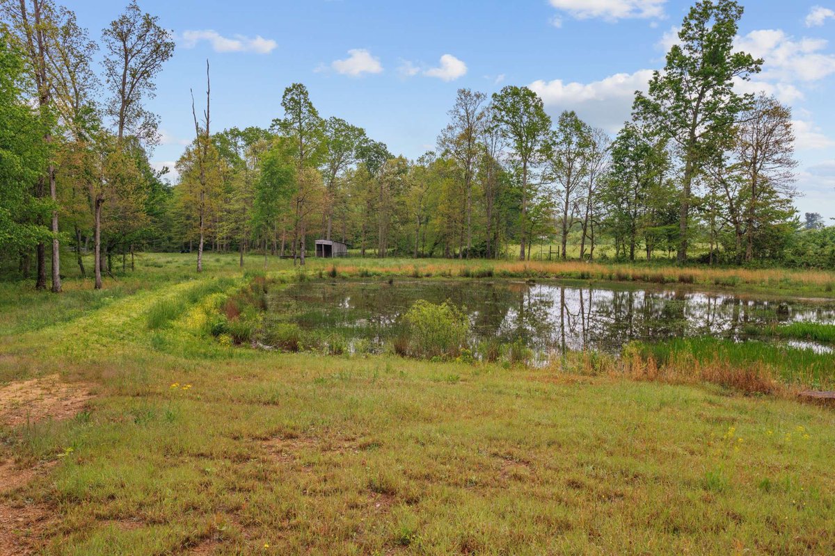 NatePopeREALTOR's tweet photo. Discover a serene retreat on 10+ acres in Sparta, TN! 🏡 This 5-bed, 2-bath farmhouse blends rustic charm with modern updates. Perfect for country living! 🌳✨https://t.co/RKrIFkqqlG https://t.co/4iqDFeGIyb