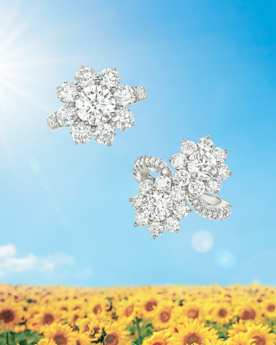 Inspiring Winston designers since the 1950s, the Sunflower Collection’s diamond petals recall the sublime symmetry of its namesake. Add a touch of eternal spring to your collection: harry-winston.visitlink.me/RTaUEo #HarryWinston #WinstonGarden