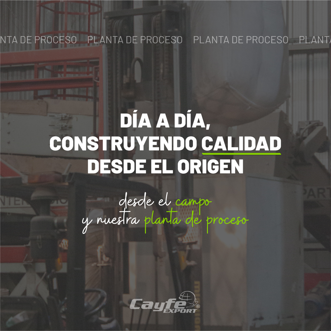 cayfe_export's tweet image. Acondicioná tu producción en nuestra planta de proceso ubicada en Sinsacate, Córdoba🏭🇦🇷

📲Escribinos por WhatsApp por más información: 3525 454056