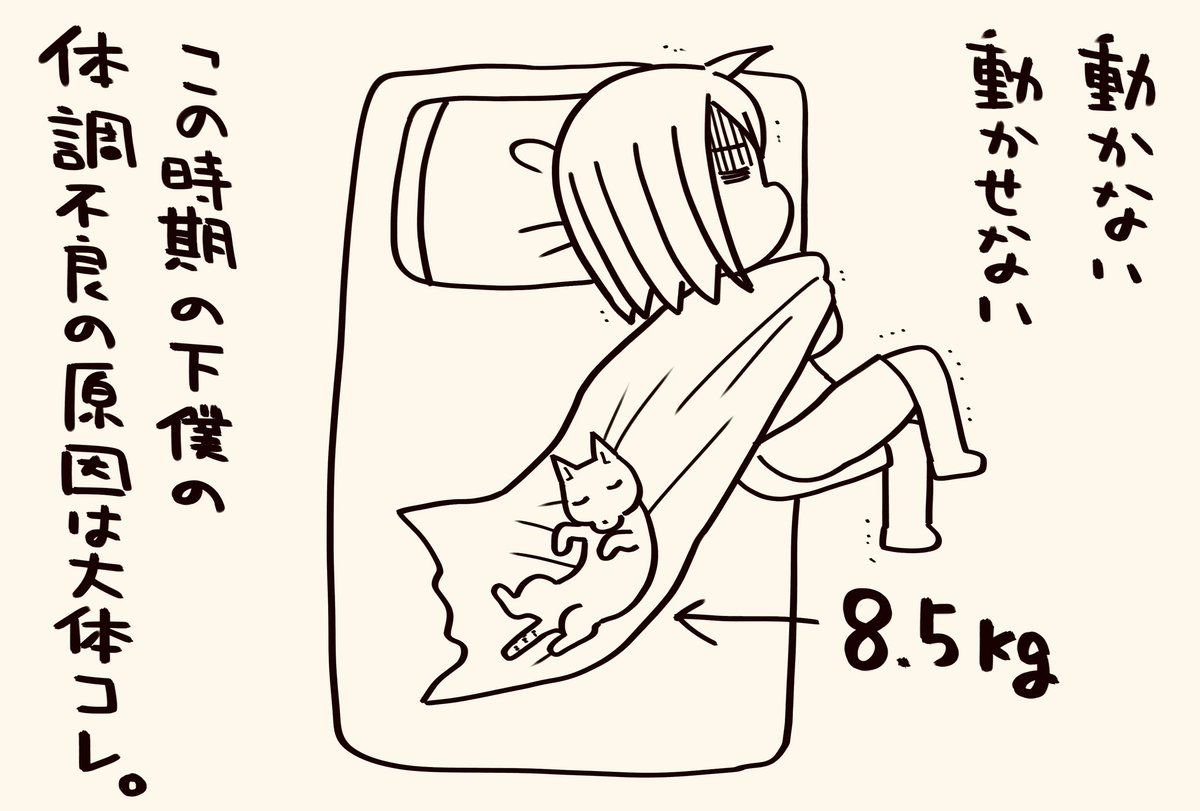 いがぐり様
せめて掛け布団の上で寝ないでいただけると助かります
ご一考くださると幸いです
よろしくお願いします

#猫が4匹いる暮らし 