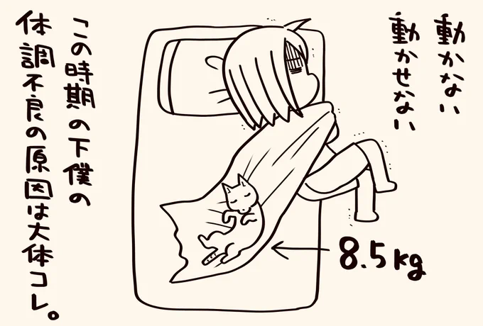 いがぐり様
せめて掛け布団の上で寝ないでいただけると助かります
ご一考くださると幸いです
よろしくお願いします

#猫が4匹いる暮らし 