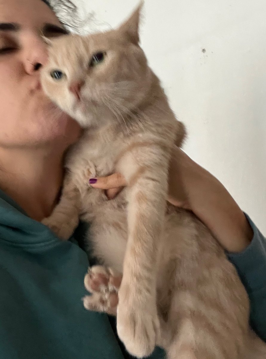 Anoche soñé que dejaba encerrado en el auto a Carlos y se asfixiaba así que desde que desperté le estoy pidiendo perdón y dándole besos. 

Carlos: sáquenme a esta Karen demente.