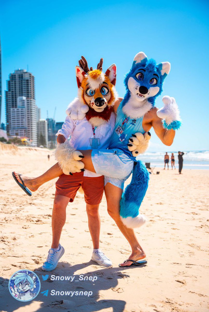 OhBoyItsAugust's tweet image. Beach day with kitten #1 🤓