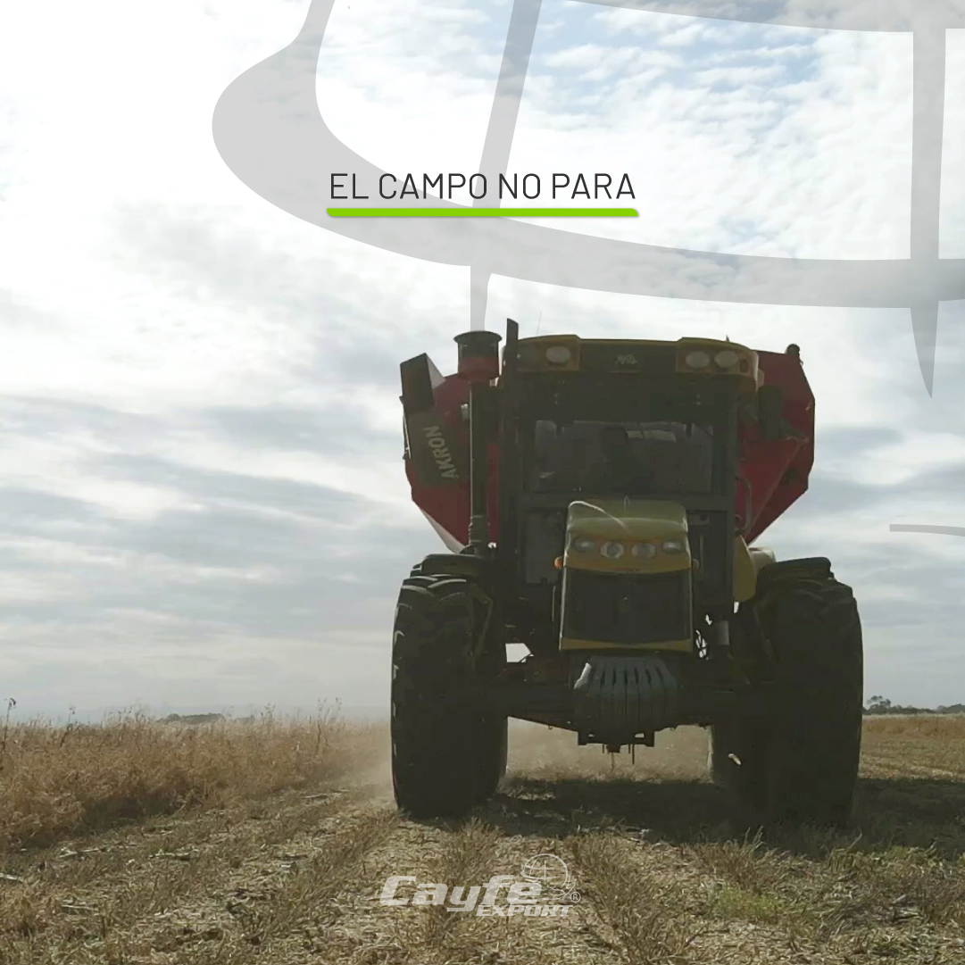 cayfe_export's tweet image. ¡Buen comienzo de semana!
Especialmente para quienes trabajan el campo🌱🚜

Nos encontramos en semanas intensas, con largas jornadas de trabajo, cansancio y muchas charlas compartidas. Sigamos adelante, con el compromiso y la energía de siempre✊🏽

Cayfe Export no para💚