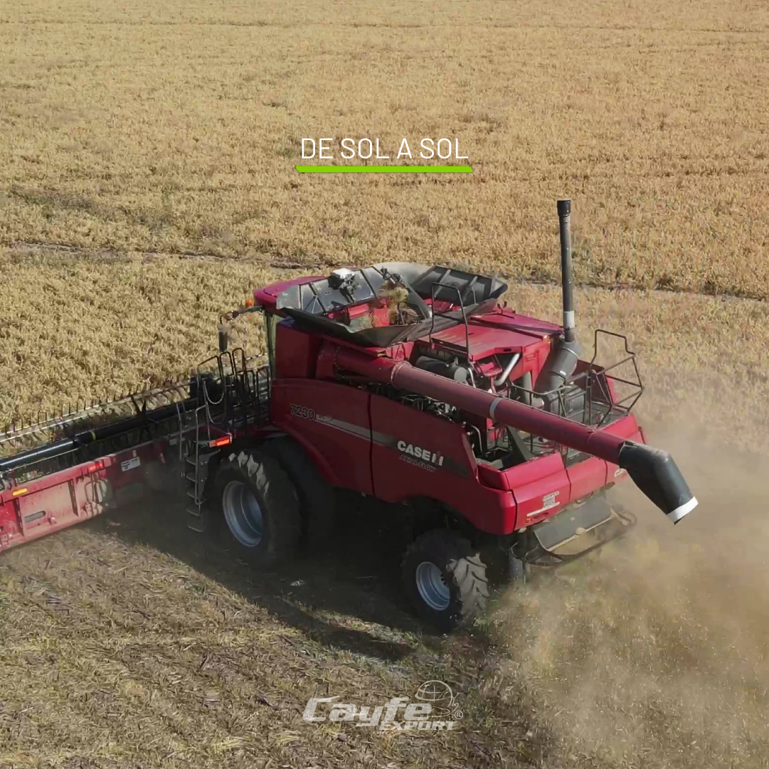 cayfe_export's tweet image. ¡Buen comienzo de semana!
Especialmente para quienes trabajan el campo🌱🚜

Nos encontramos en semanas intensas, con largas jornadas de trabajo, cansancio y muchas charlas compartidas. Sigamos adelante, con el compromiso y la energía de siempre✊🏽

Cayfe Export no para💚