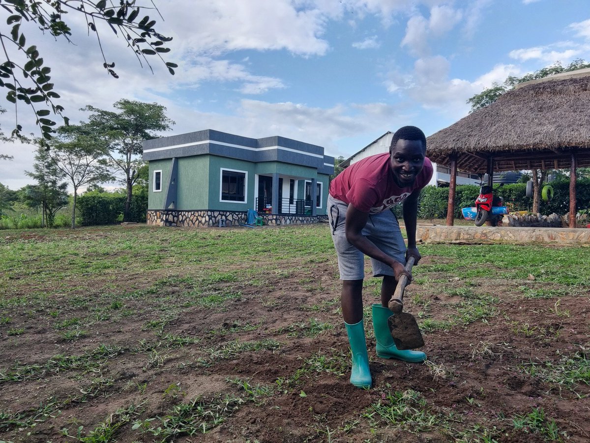 Is it growing up,  boredom or just freedom and happiness? 
Who ever thought that on a Saturday evening I'd ever choose to weed in my compound instead of watching sports or going out? 
Crazy life indeed!