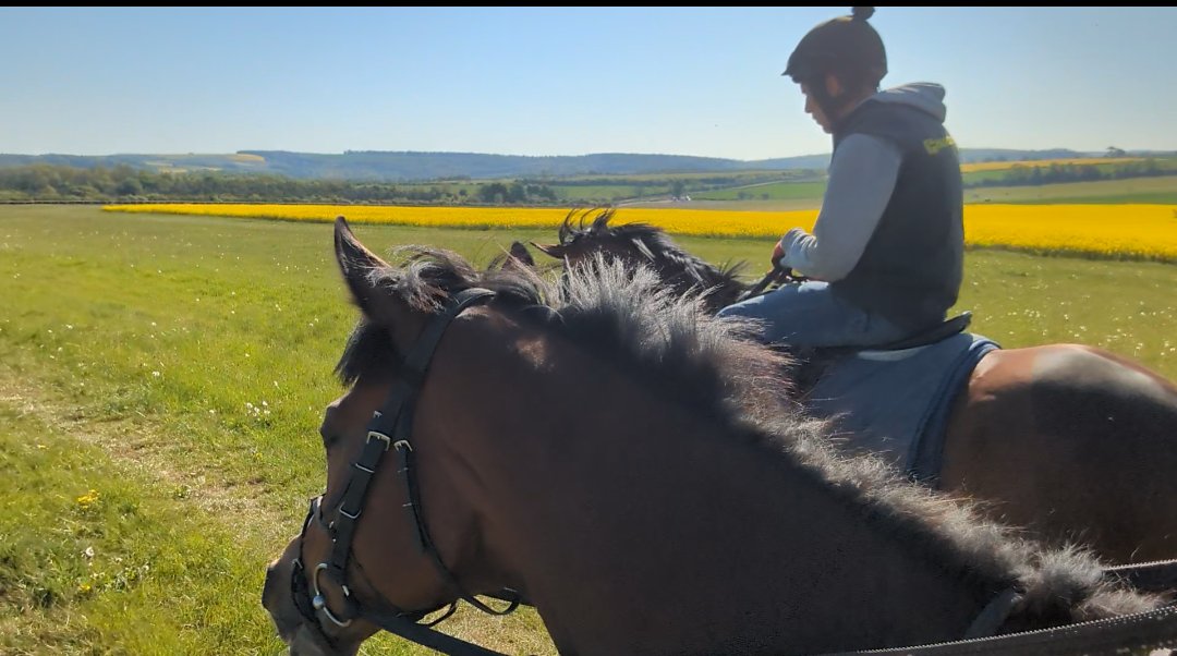 NewstartRacing's tweet photo. What a lovely morning we've had here @NewstartRacing.
Nice work for the weekend with these 2 smart movers - #HeyCrackers &amp; #VeryClassy
Looking forward to where these 2 will take us this year! 
Enjoying life - Get involved &amp; come along for the ride! 📞 🏇✨ https://t.co/Z9BJvQT0WI