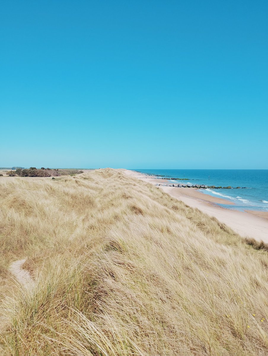 IJMoff's tweet photo. Norfolk's alright you know
#Norfolk https://t.co/ZkU09jRPat