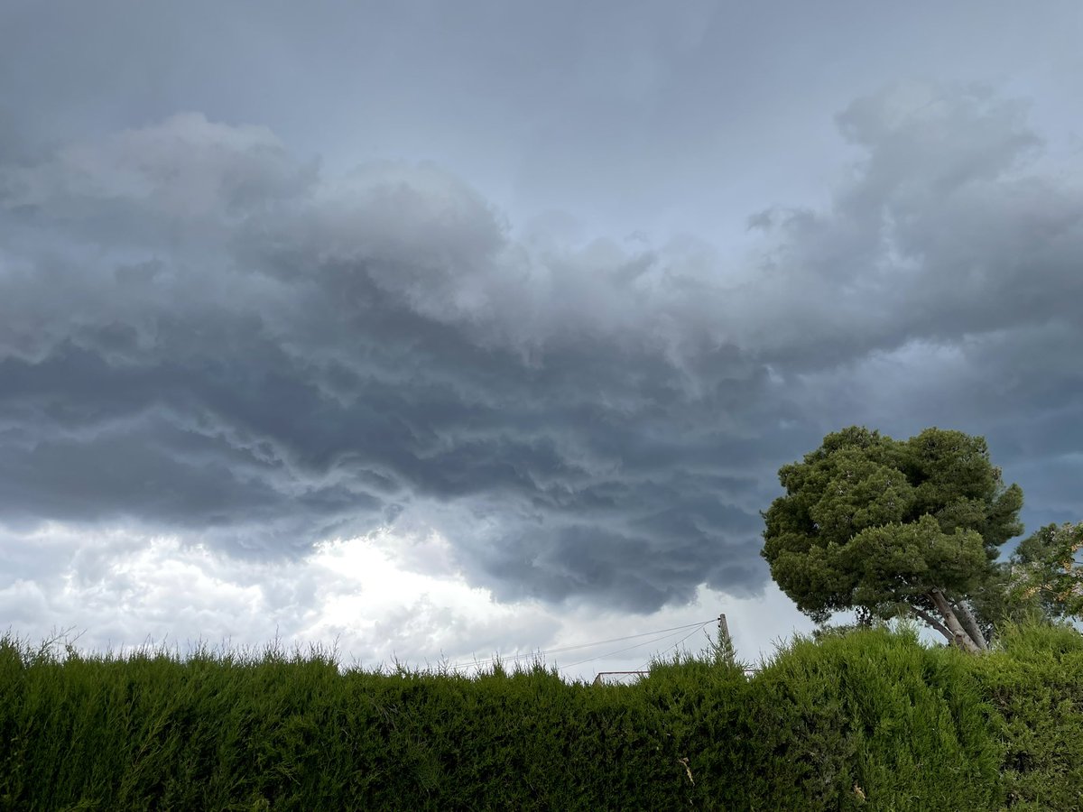 Arturo Dauden Ibañez (@daudenibanez) on Twitter photo 