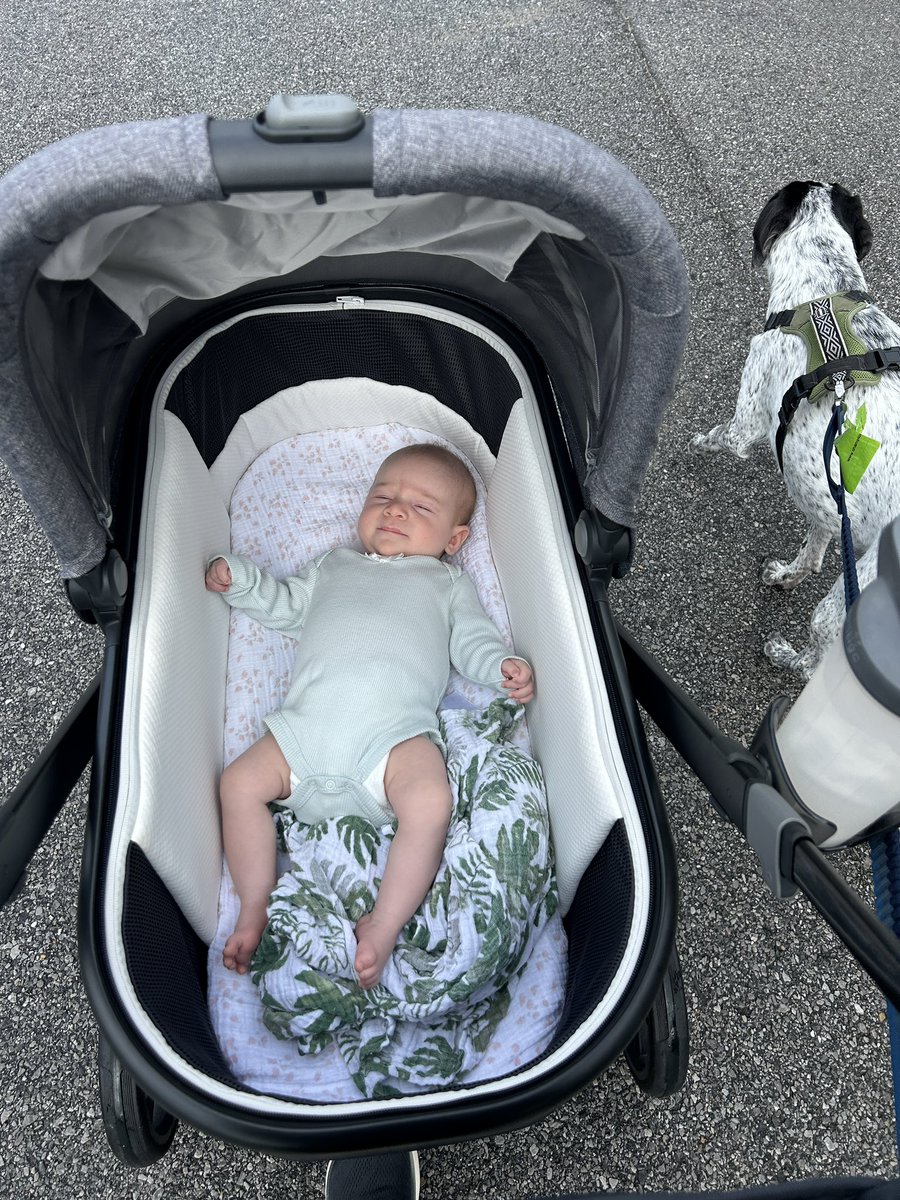 Hey <a href="/WasteManagement/">WM</a> just a thank you to the driver of truck 586 in gulf breeze  FL this morning who slowed down to wish me a happy Mother’s Day while I was walking my dog and pushing the stroller! Made my day!!