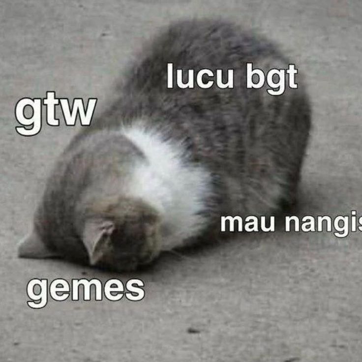 sosecouple's tweet image. sooo sad yiyoung can’t read this letter… she can’t even scream like I did🫨 #ResidentPlaybookEp9