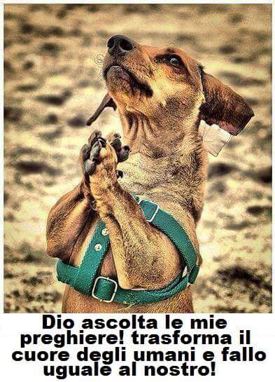 Bruna K. Midleton (scrittrice) (@bruna_midleton) on Twitter photo 