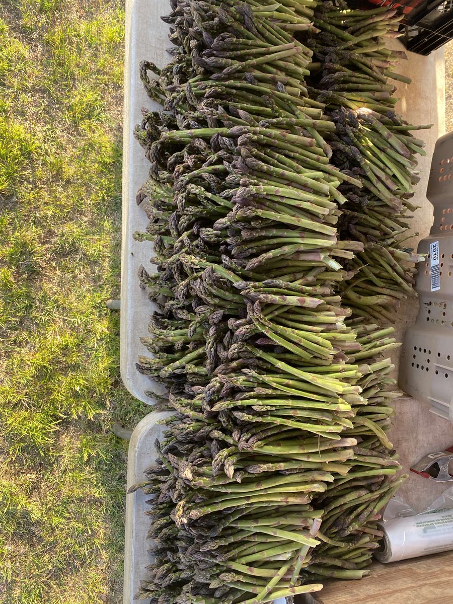 Asparagus and rhubarb have hit the markets!! We have lots of produce and flowers to make your mother's day weekend great! Here's where you can find us today: 
Fulton Street: until 2 
Country Market: until 2 
Waukazoo: until 2 
Grand Haven: until 1 
Rockford: until 1