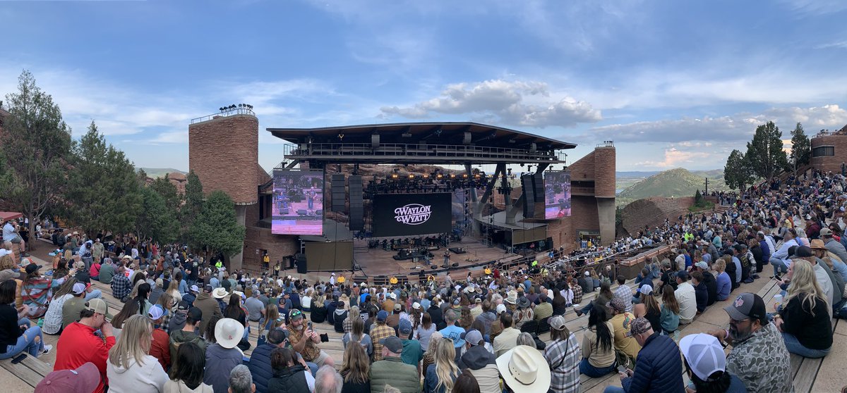 Dwight Schrute from the office