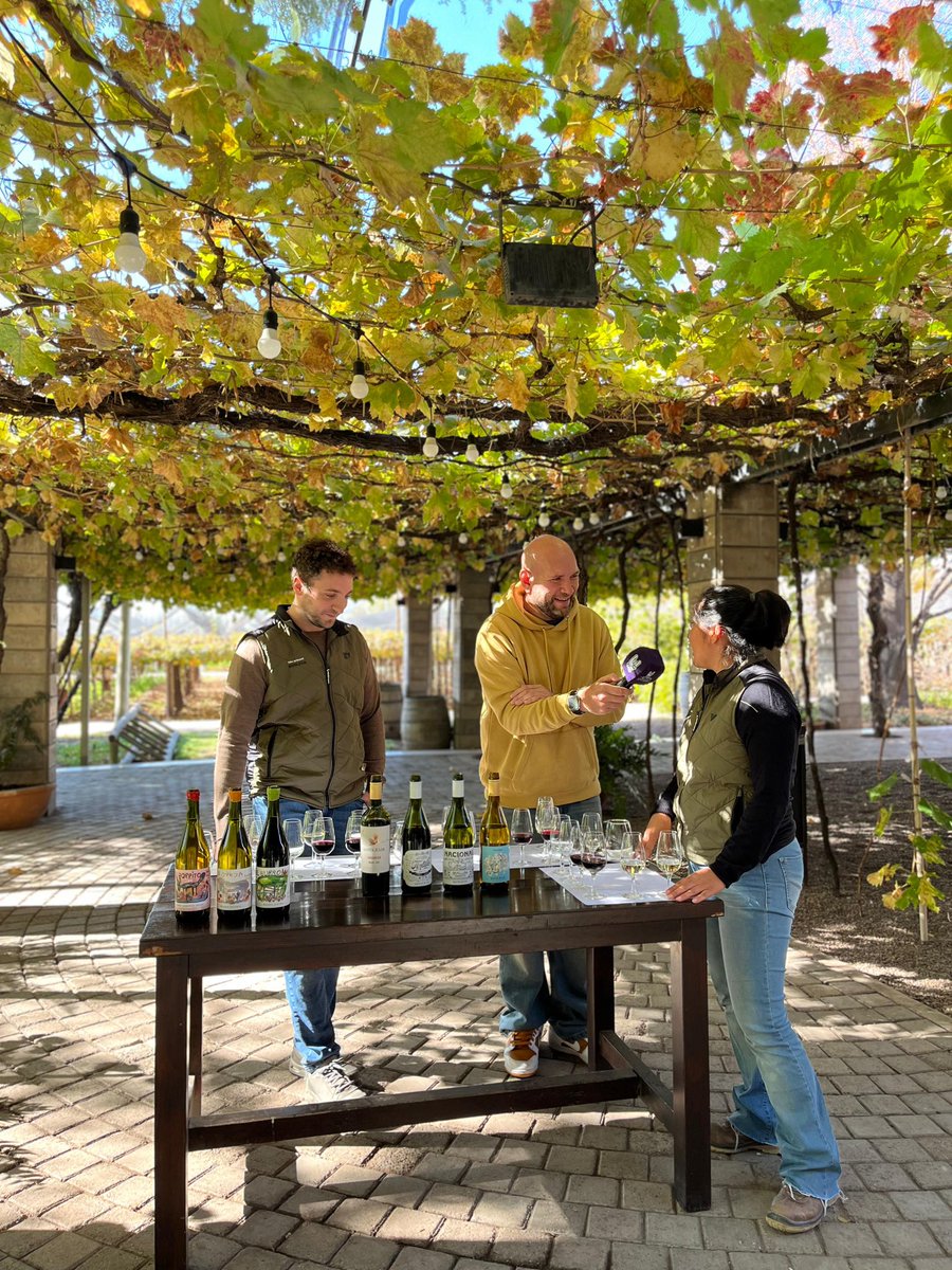 eL oSo 🎤 tweet media