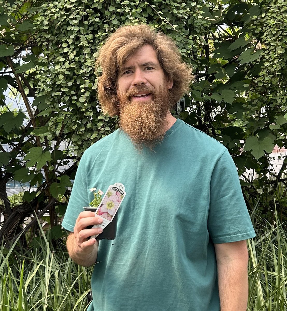 Garden guru Shea Doherty, beloved for his unbridled enthusiasm for plants (aka the ops manager for Our Farm Greenhouse) names his top plant picks - you will love them, too! winnipegfreepress.com/arts-and-life/…

#Gardening #Flowers #gardencenter #plantshopping #TopPicks #garden #patioplanters