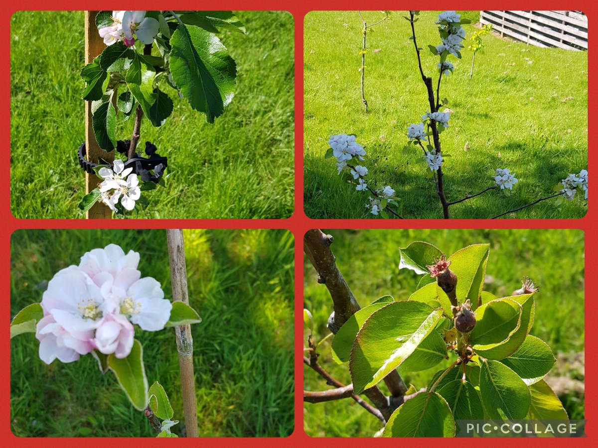 Mrs Woolfries tweet media