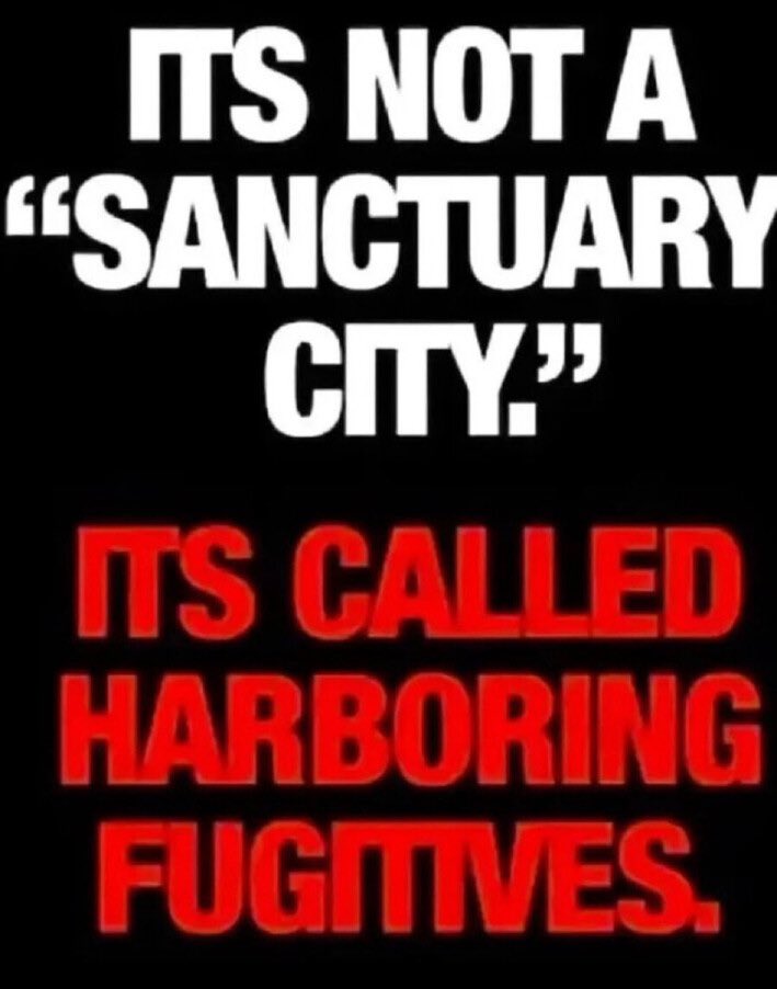 MrWhiteMAGA's tweet image. Harboring Fugitives Is Against The Law