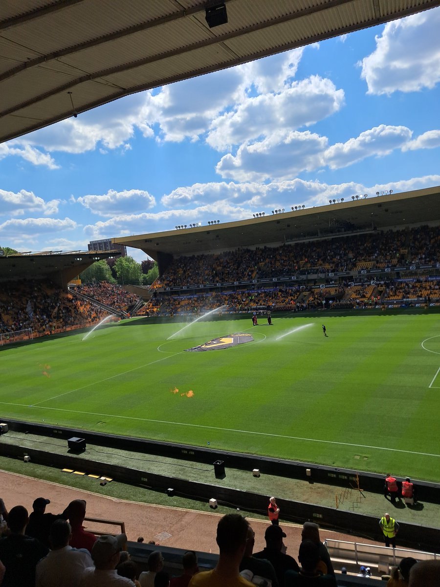 Wolves v Brighton  today