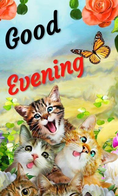 Good evening have a beautiful evening.