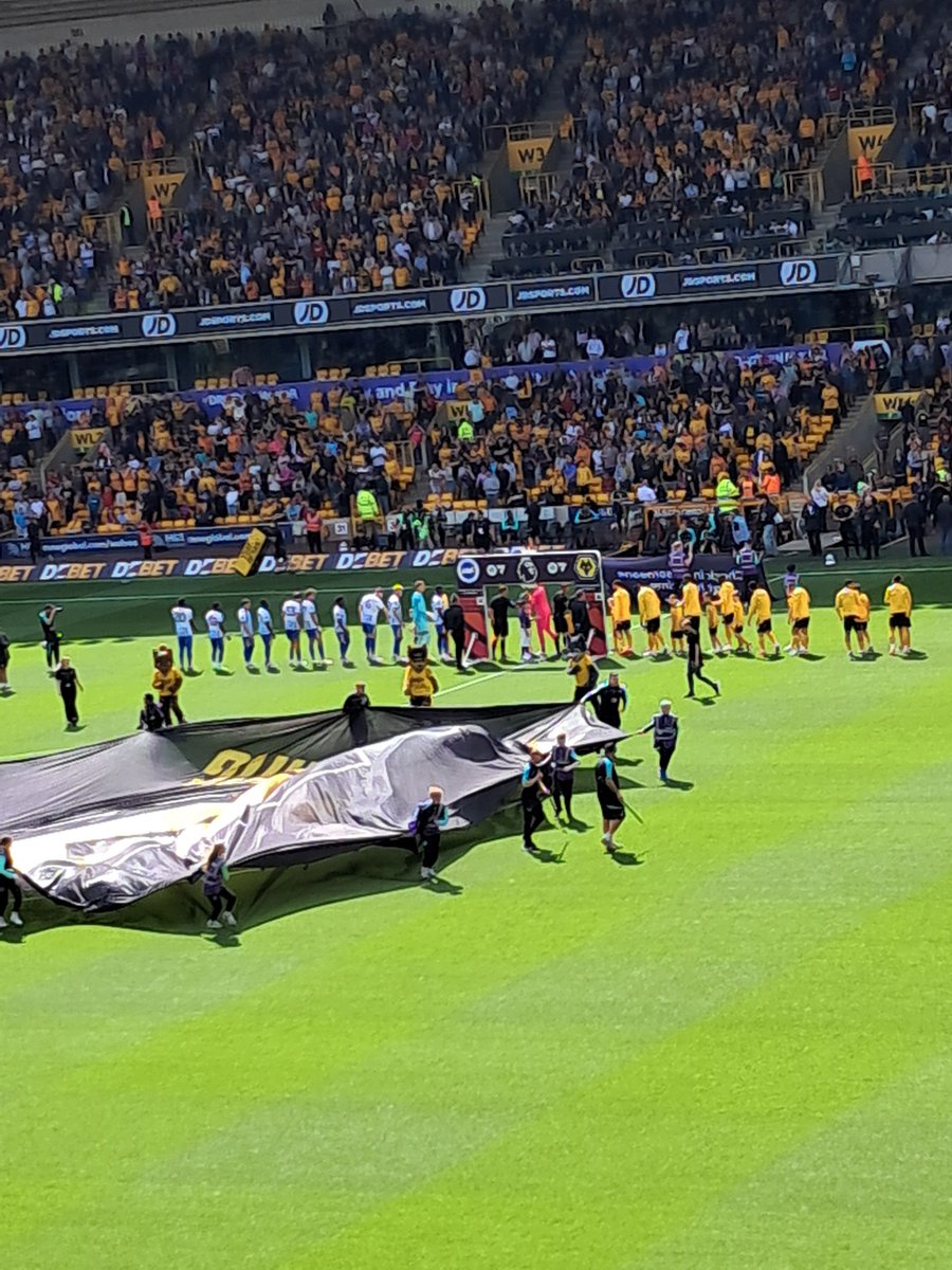 Wolves v Brighton