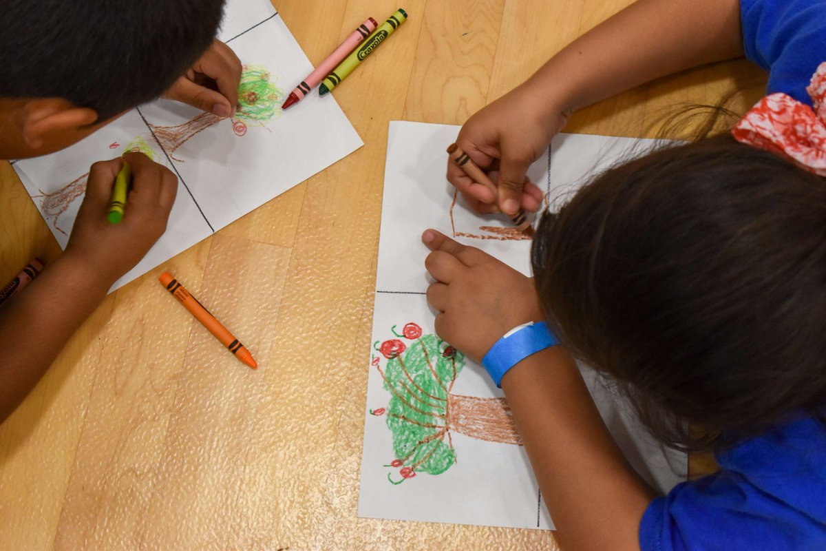 Texas Trees Foundation tweet media