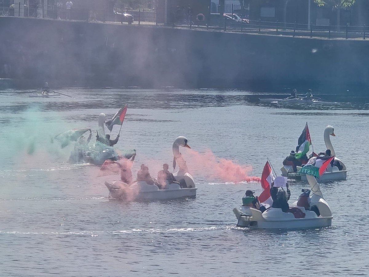 19MW98's tweet photo. More swans in Queens Dock #Liverpool 

#FreePalestine 
#PensionersForPalestine
#PedalosForPalestine https://t.co/VkxrkqGZQz