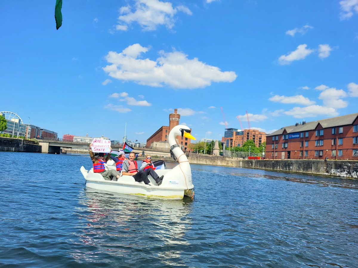 19MW98's tweet photo. More swans in Queens Dock #Liverpool 

#FreePalestine 
#PensionersForPalestine
#PedalosForPalestine https://t.co/VkxrkqGZQz