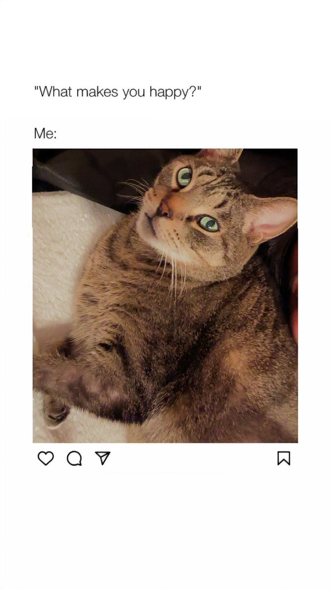 IsssaLEE_'s tweet image. Happy Birthday to me :3 ✨🍾✨