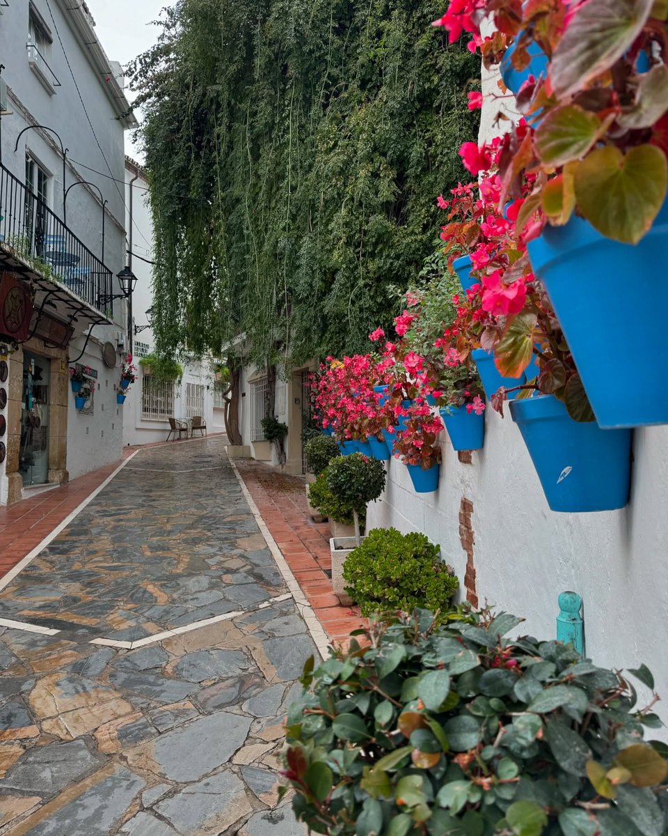 Collette tweet media